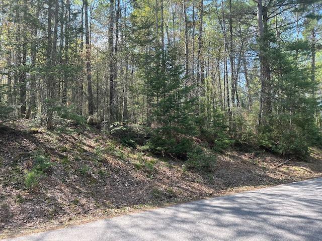 On White Birch Road, Unit LOT 9 Eagle River, WI 54521 - Photo 3 of 4 Gallery Image 3
