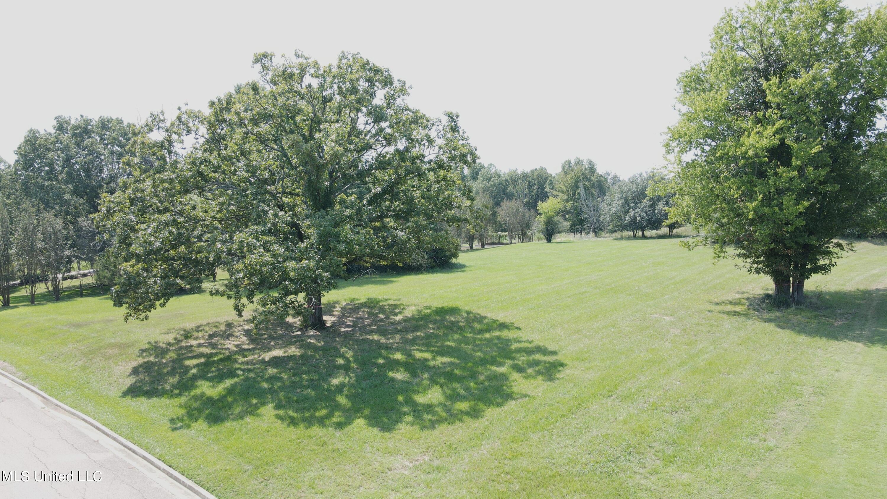 Lot 45 Southern Ridge Drive Madison, MS 39110 - Photo 1 of 6 Lot 45 - Annandale