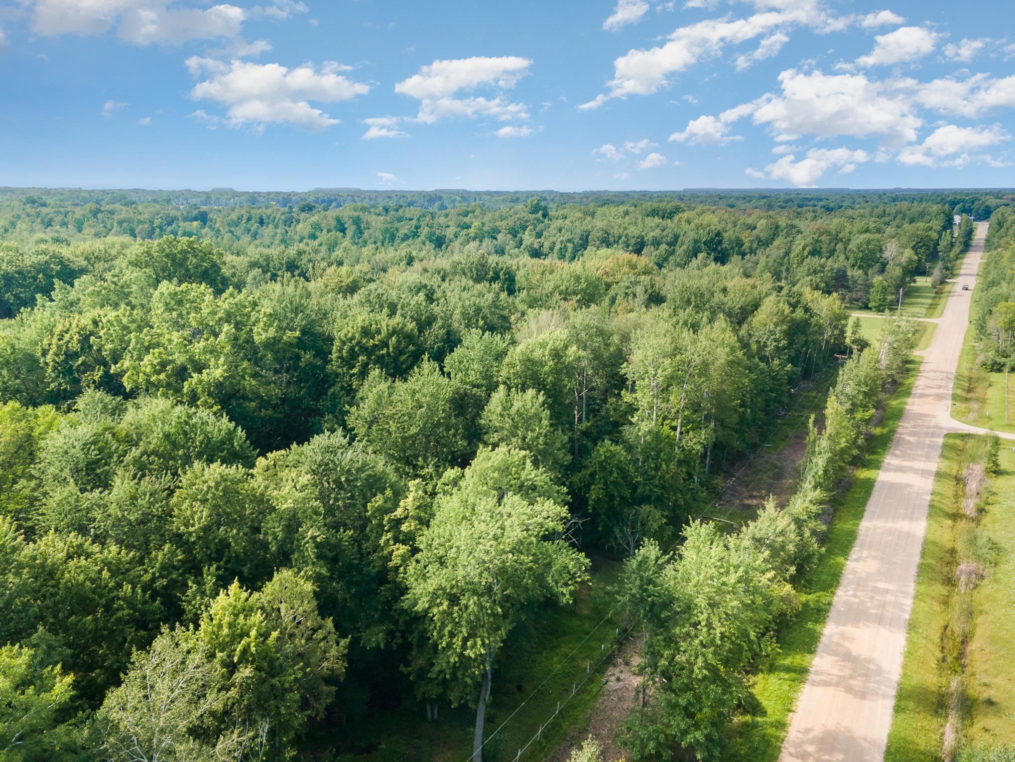 Vl Wade Road Coleman, MI 48618 - Photo 7 of 12