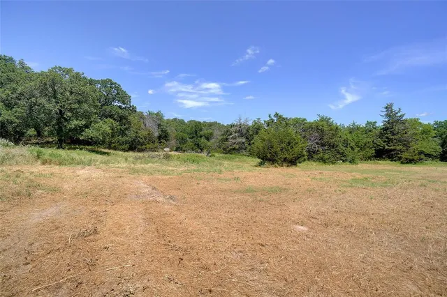 a view of a field with trees in the background