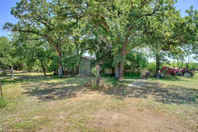 a view of a yard with tree s