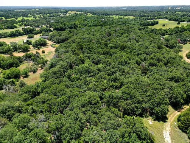 an aerial view of residential houses with outdoor space and trees