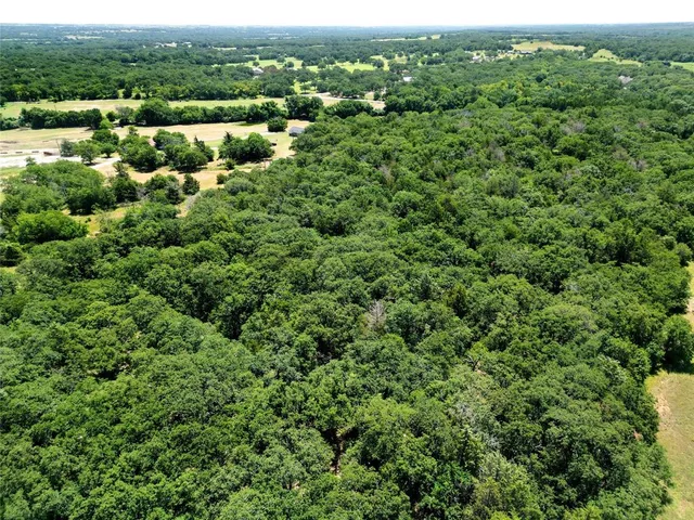 a view of a green field with lots of bushes