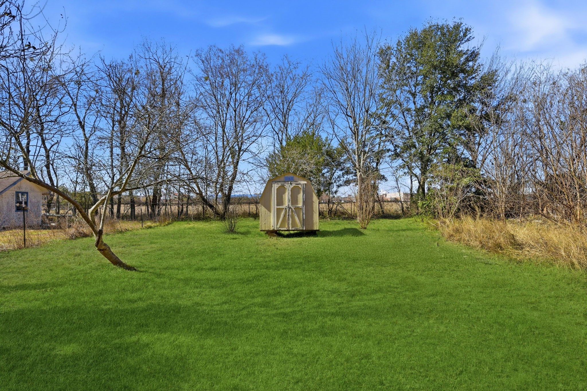 11902 Dover Street Houston, TX 77031 - Photo 25 of 29 a view of a garden with large trees