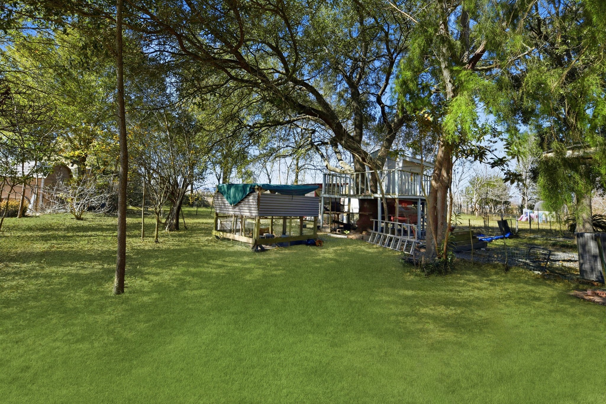 11902 Dover Street Houston, TX 77031 - Photo 29 of 29 a view of a park with large trees