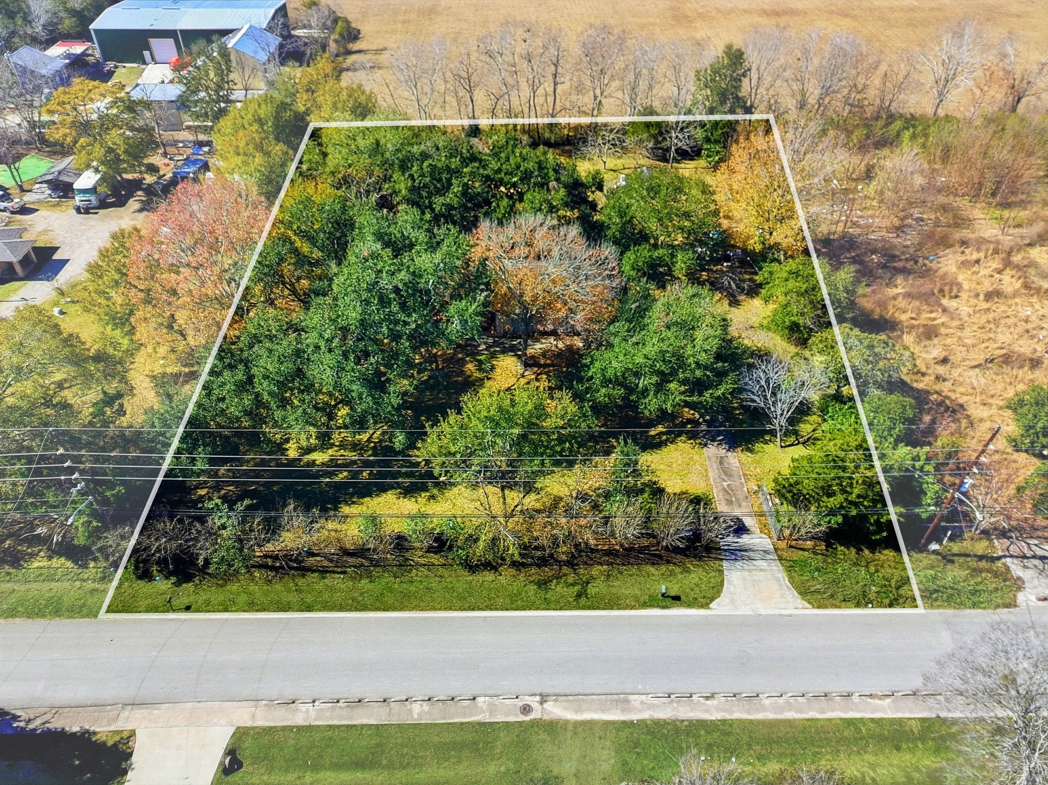 11902 Dover Street Houston, TX 77031 - Photo 3 of 29 a view of a garden