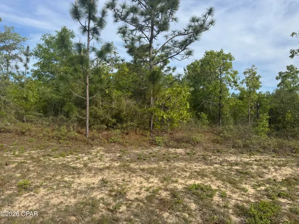 $14,500 | 0 Greenview Drive, Chipley, FL 32428
