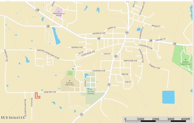 Cemetery Road Tylertown, MS 39667 - Photo 12 of 13 IMG_1578