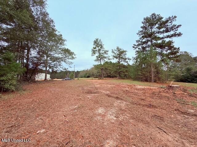Cemetery Road Tylertown, MS 39667 - Photo 2 of 13 IMG_1585