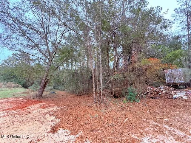 $11,500 | Cemetery Road, Tylertown, MS 39667