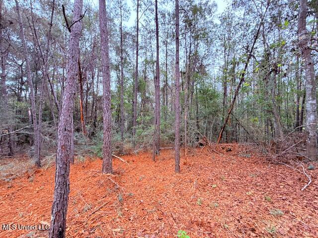 Cemetery Road Tylertown, MS 39667 - Photo 6 of 13 IMG_1593