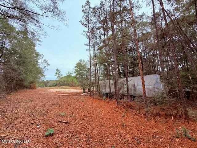 $11,500 | Cemetery Road, Tylertown, MS 39667