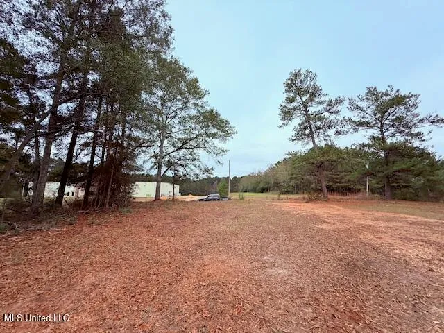 $11,500 | Cemetery Road, Tylertown, MS 39667