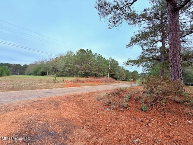 Cemetery Road Tylertown, MS 39667 - Photo 9 of 13 IMG_1596