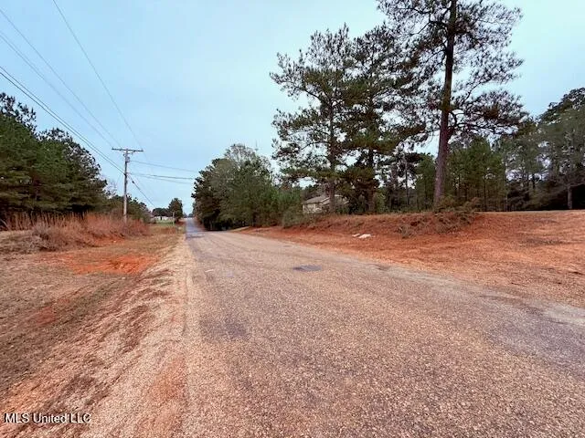 $11,500 | Cemetery Road, Tylertown, MS 39667