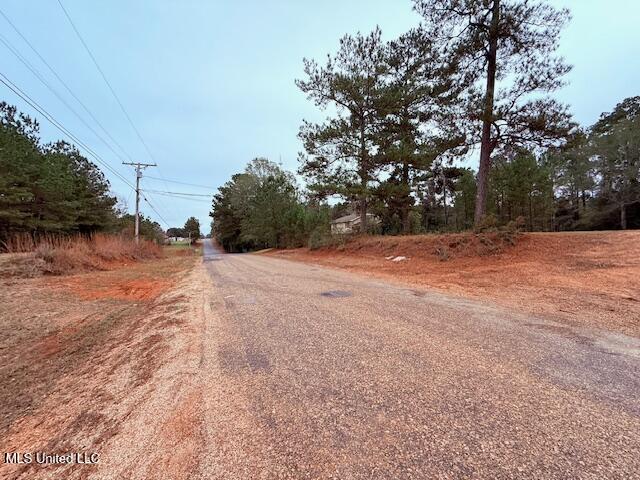 Cemetery Road Tylertown, MS 39667 - Photo 10 of 13 IMG_1597