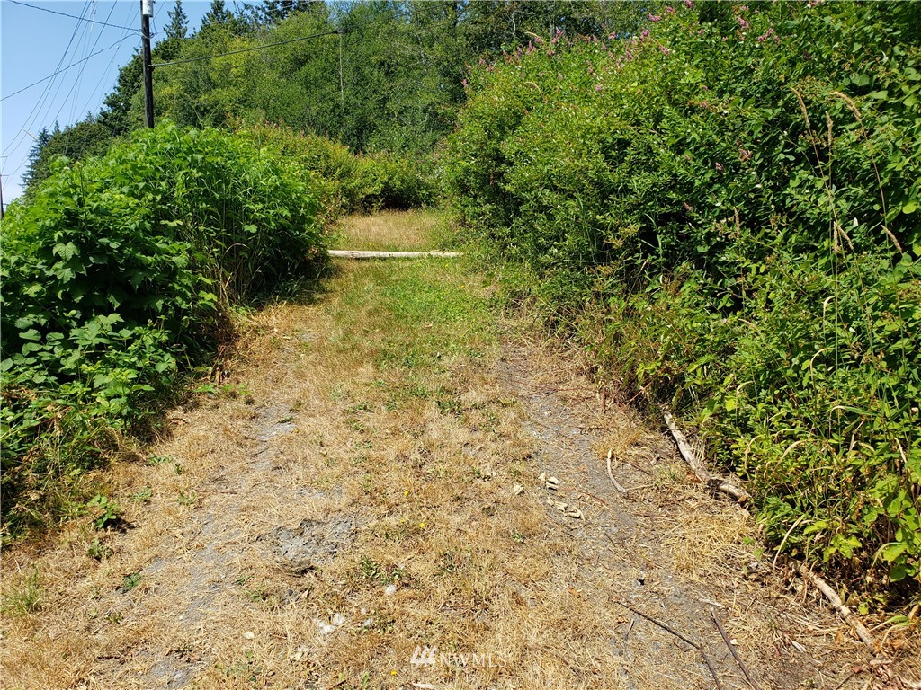 0 Manley Road Bellingham, WA 98229 - Photo 1 of 1 Gallery Image 1
