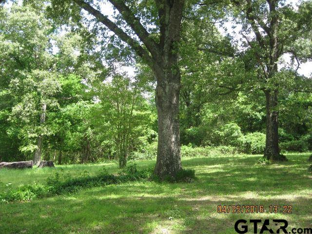 4452 Turtle Road Pittsburg, TX 75686 - Photo 3 of 9
