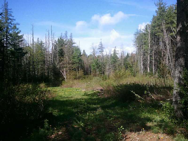 0 Winn Road Lee, ME 04455 - Photo 6 of 7 Land/Lot.