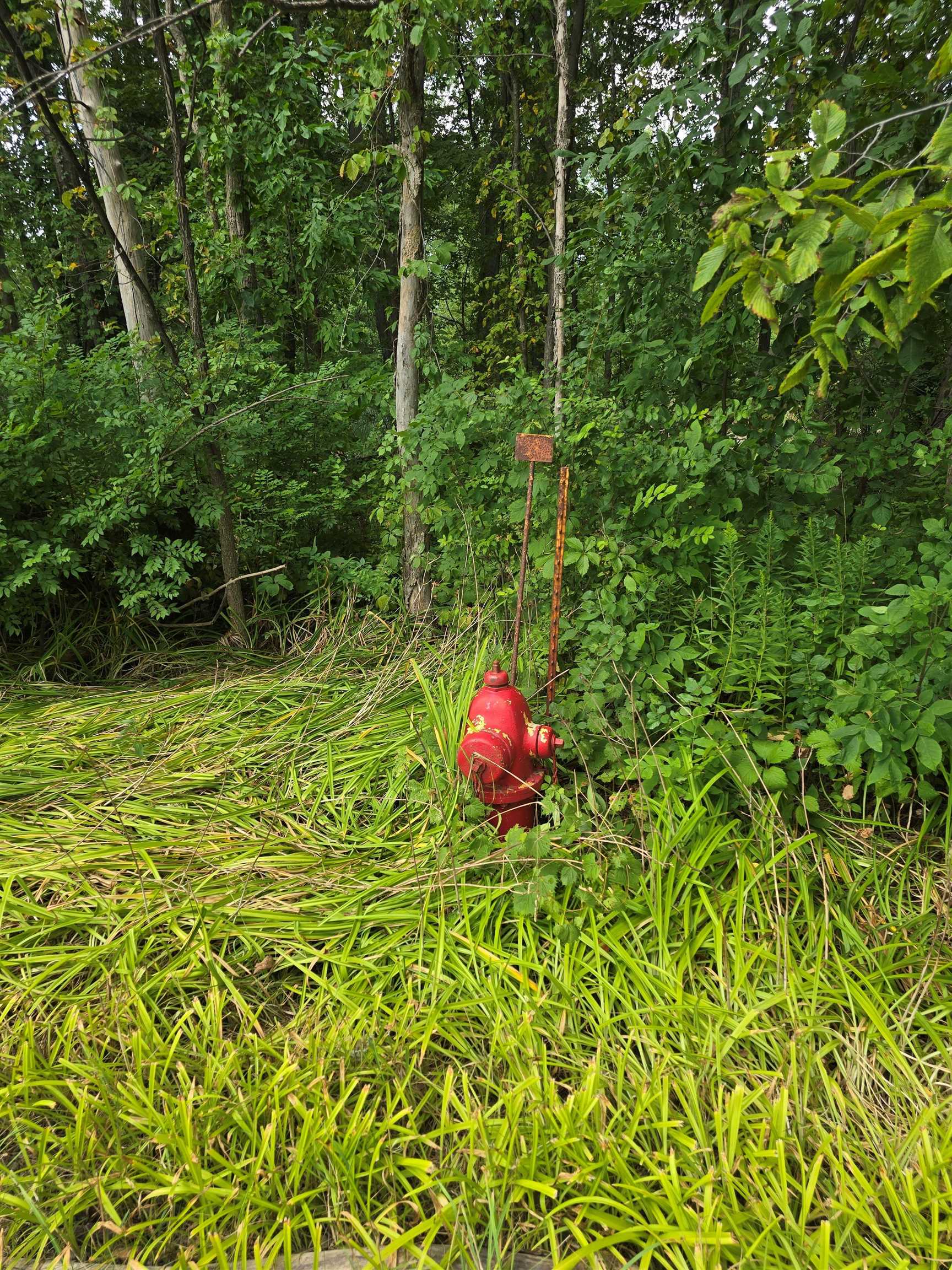 West Munger Road Munger, MI 48747 - Photo 4 of 8