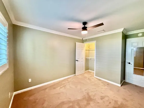 $3,000 | 3103 Cocos Road, Tampa, FL 33618