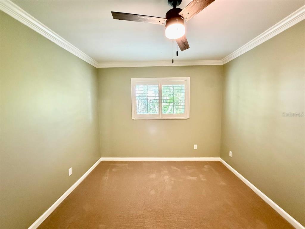 3103 Cocos Road Tampa, FL 33618 - Photo 45 of 77