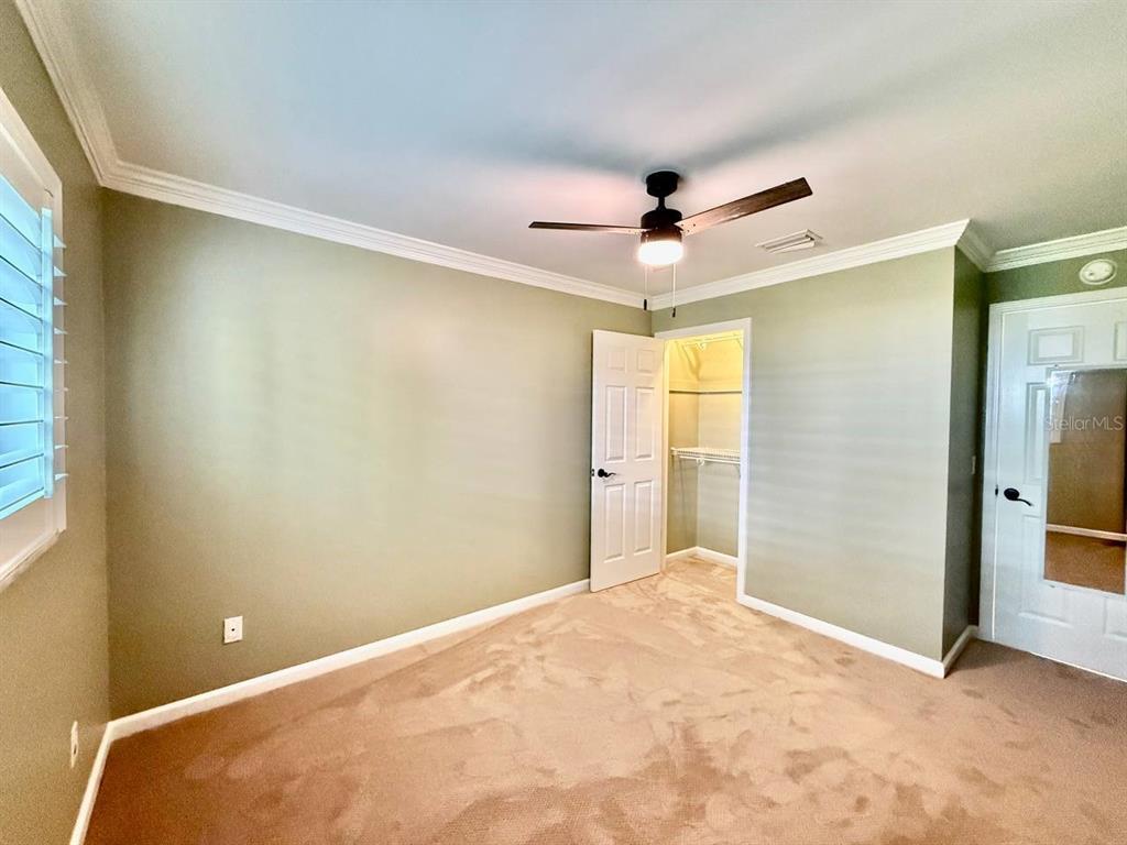 3103 Cocos Road Tampa, FL 33618 - Photo 46 of 77