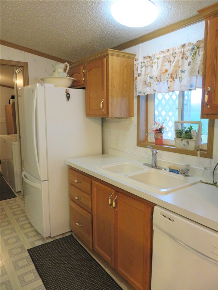 3656 Britton Road Bancroft, MI 48414 - Photo 7 of 41