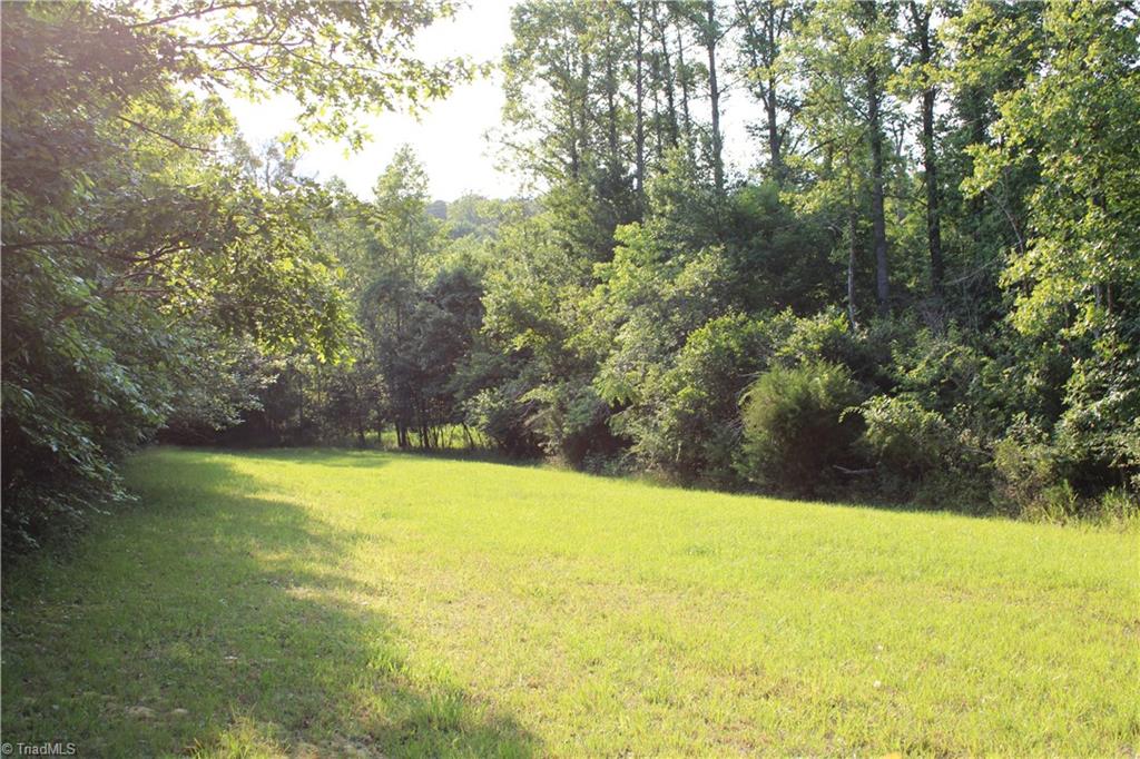2541 Collinstown Road Westfield, NC 27053 - Photo 21 of 50