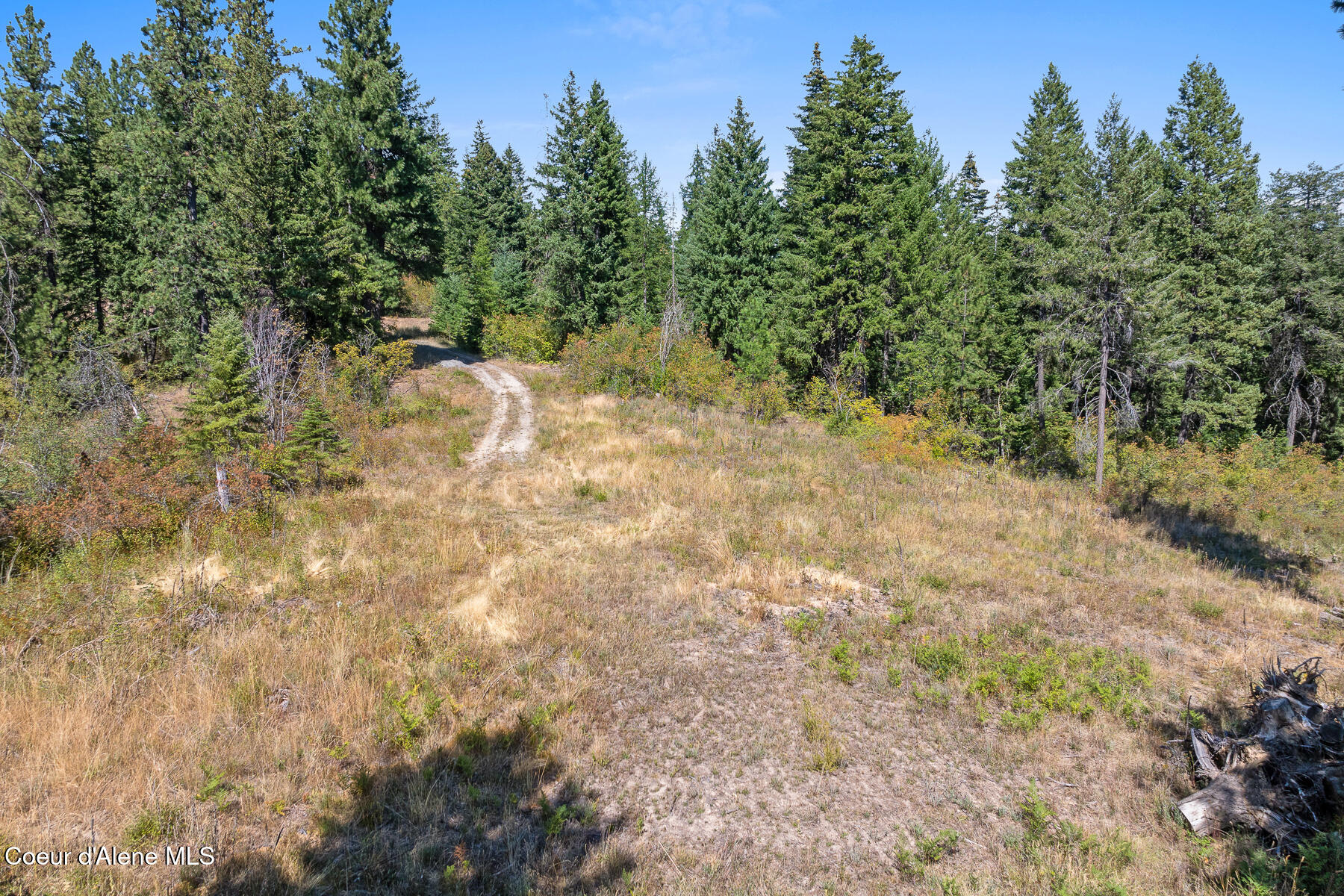 Lot 4 Fsr 439 Harrison, ID 83833 - Photo 3 of 16 Aerial_GothamBayLot-5