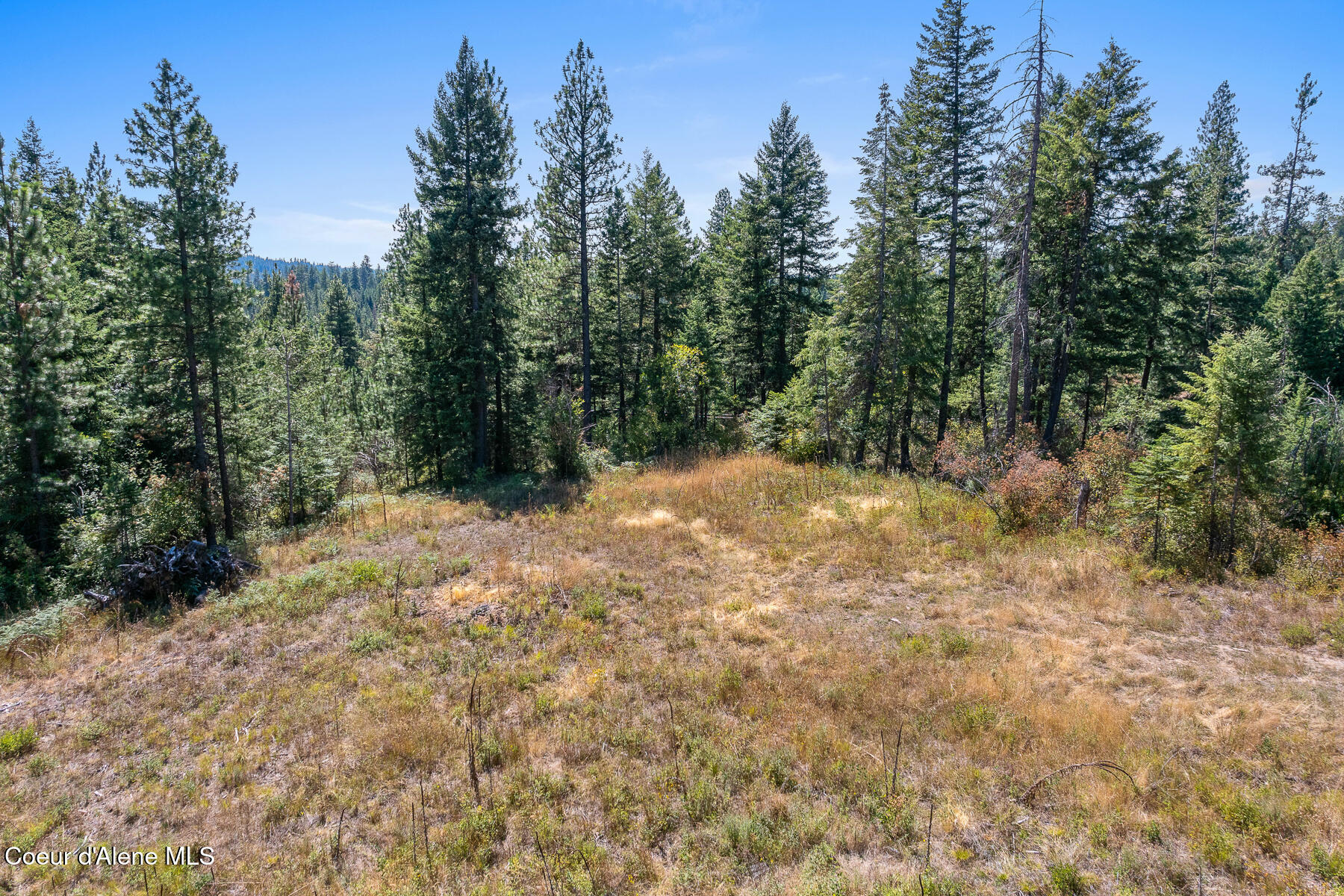 Lot 4 Fsr 439 Harrison, ID 83833 - Photo 5 of 16 Aerial_GothamBayLot-3
