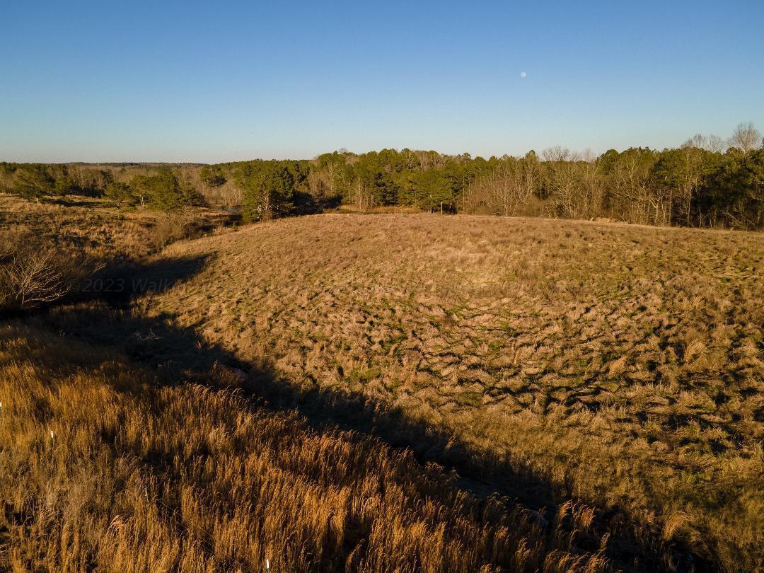 0 Busby Church Road Nauvoo, AL 35578 - Photo 3 of 24 Gallery Image 3