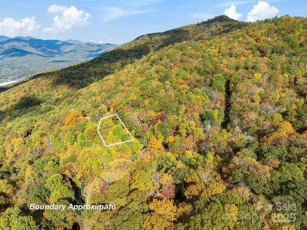 a view of a dry yard with wooden fence