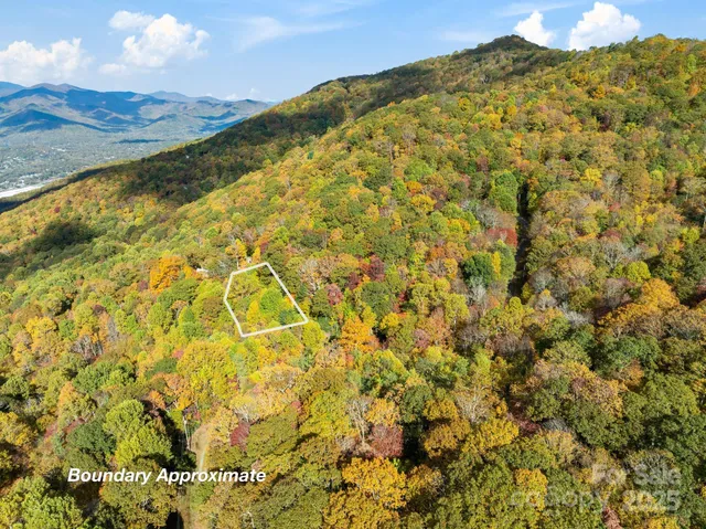 a view of a dry yard with wooden fence