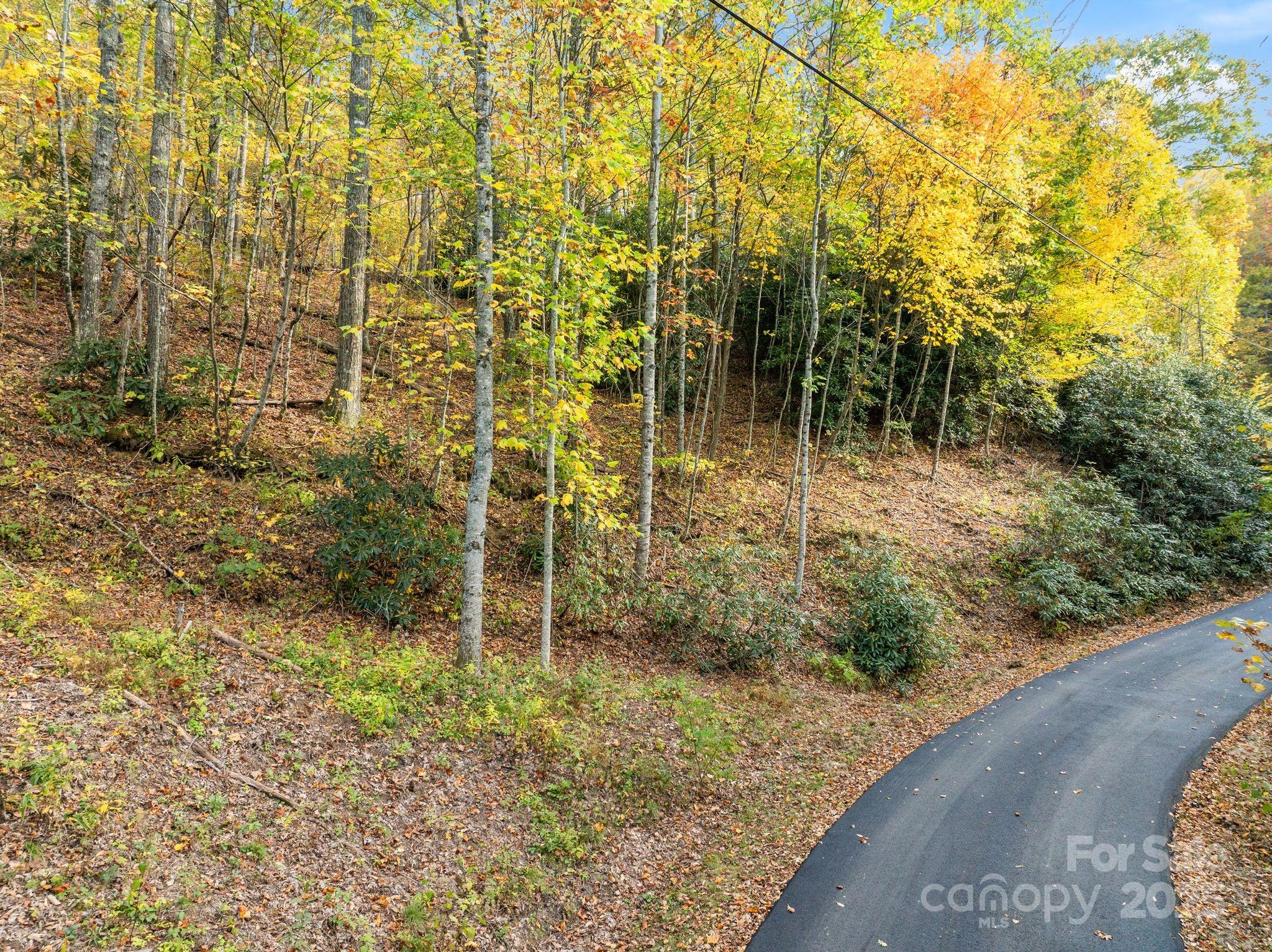 99999 Lytle Cove Road Swannanoa, NC 28778 - Photo 11 of 18 a backyard of a house with lots of green space and chair