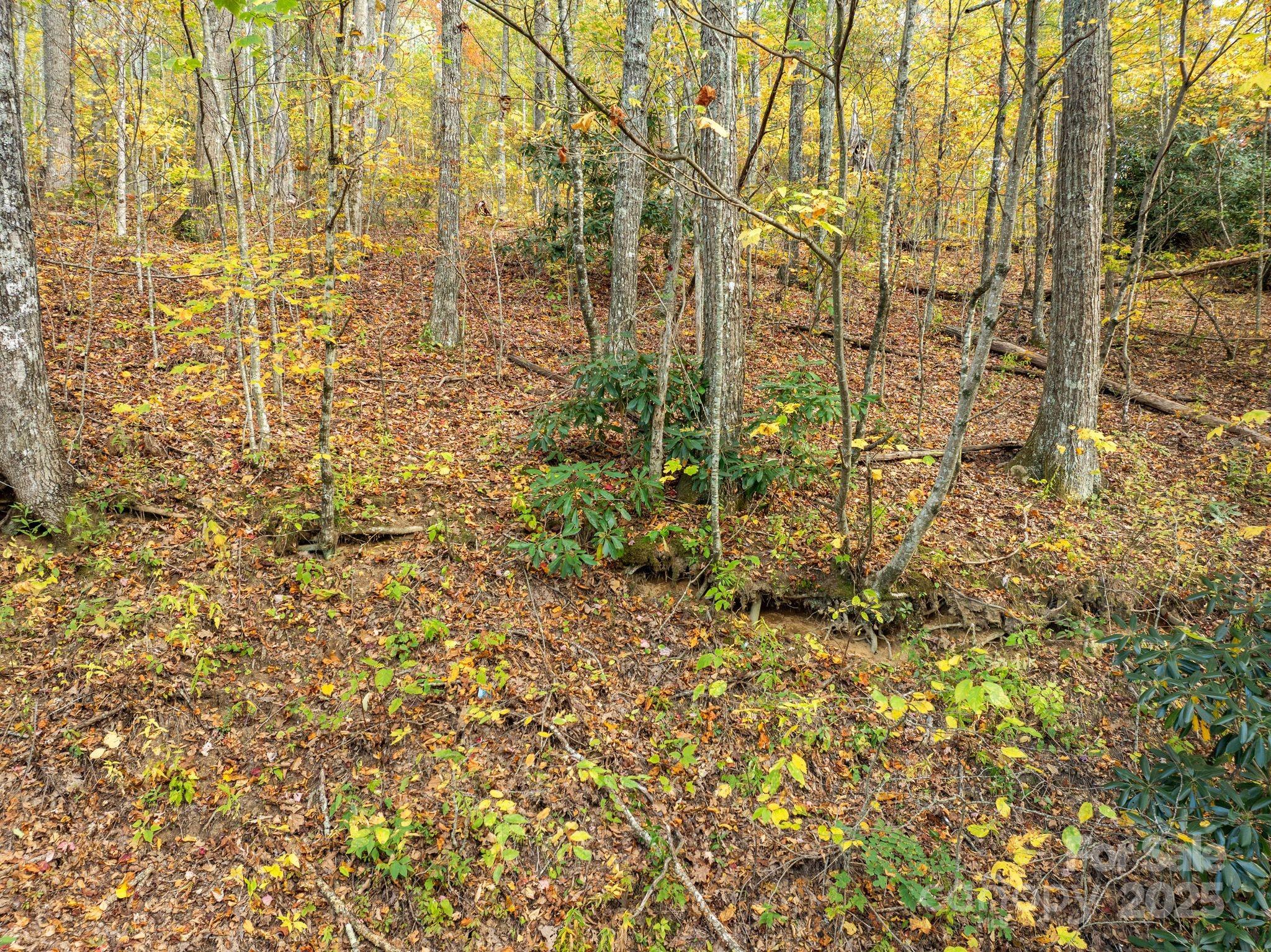 99999 Lytle Cove Road Swannanoa, NC 28778 - Photo 12 of 18