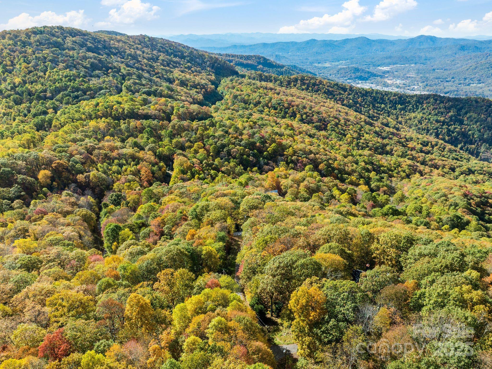 99999 Lytle Cove Road Swannanoa, NC 28778 - Photo 14 of 18 a view of a yard with an outdoor space