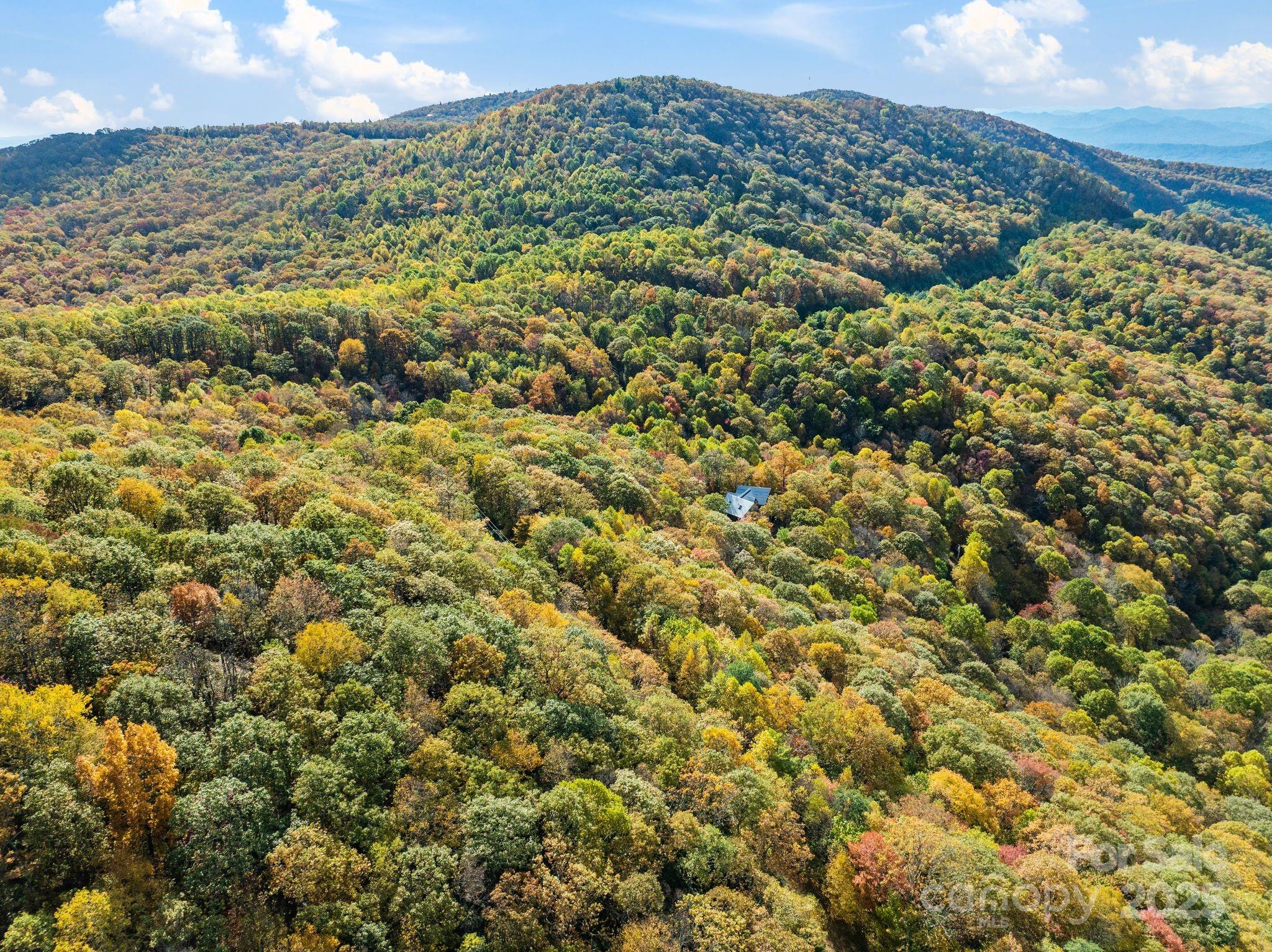 99999 Lytle Cove Road Swannanoa, NC 28778 - Photo 15 of 18 a view of a city