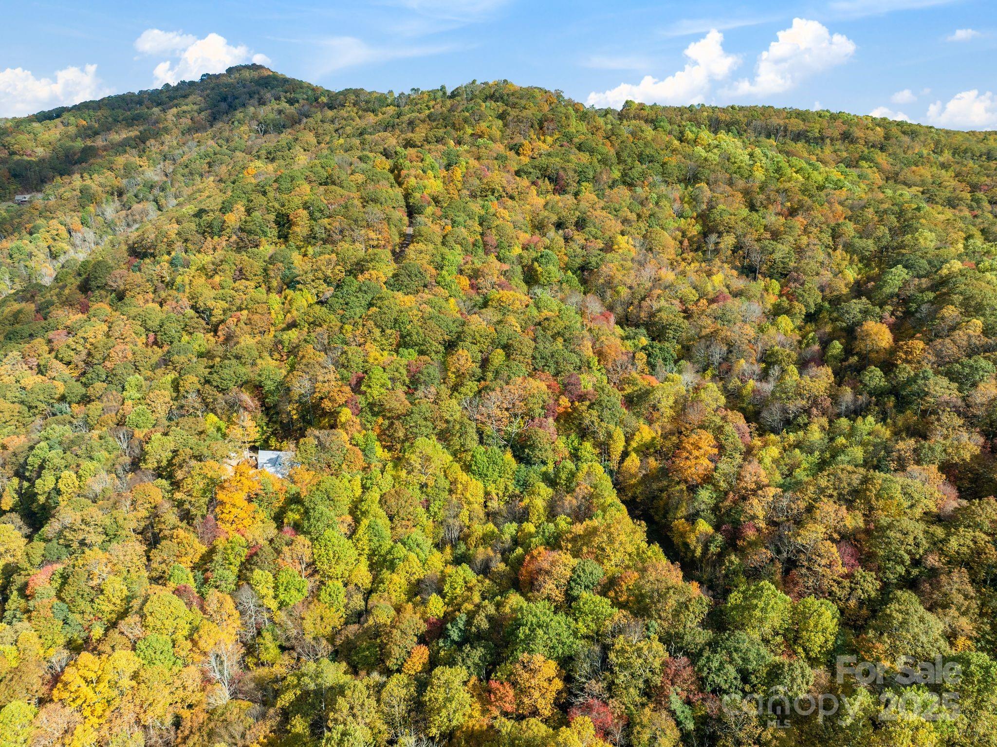 99999 Lytle Cove Road Swannanoa, NC 28778 - Photo 16 of 18 a view of a sunset