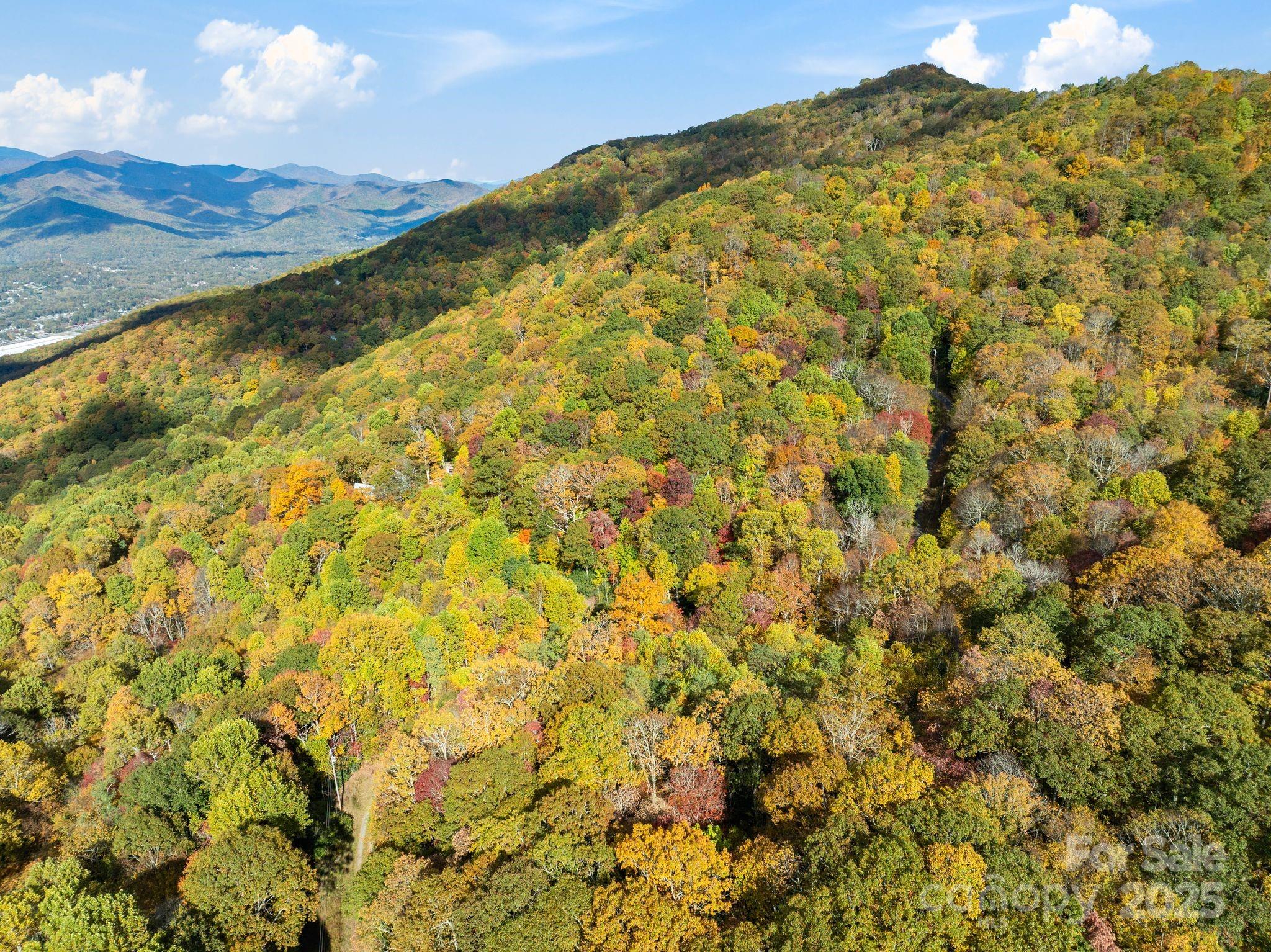 99999 Lytle Cove Road Swannanoa, NC 28778 - Photo 17 of 18