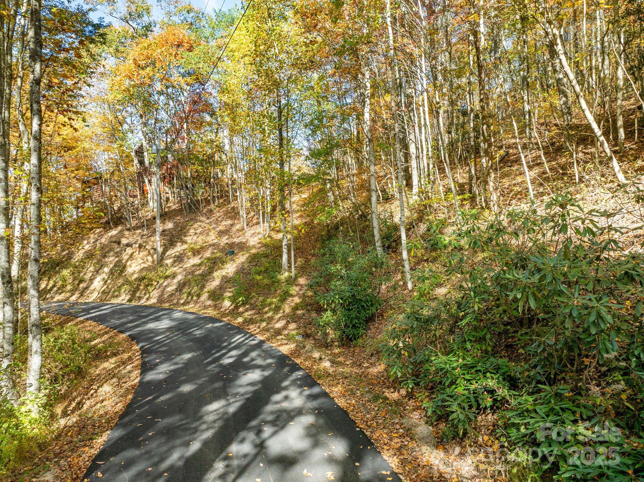 99999 Lytle Cove Road Swannanoa, NC 28778 - Photo 3 of 18 a view of residential area with green space