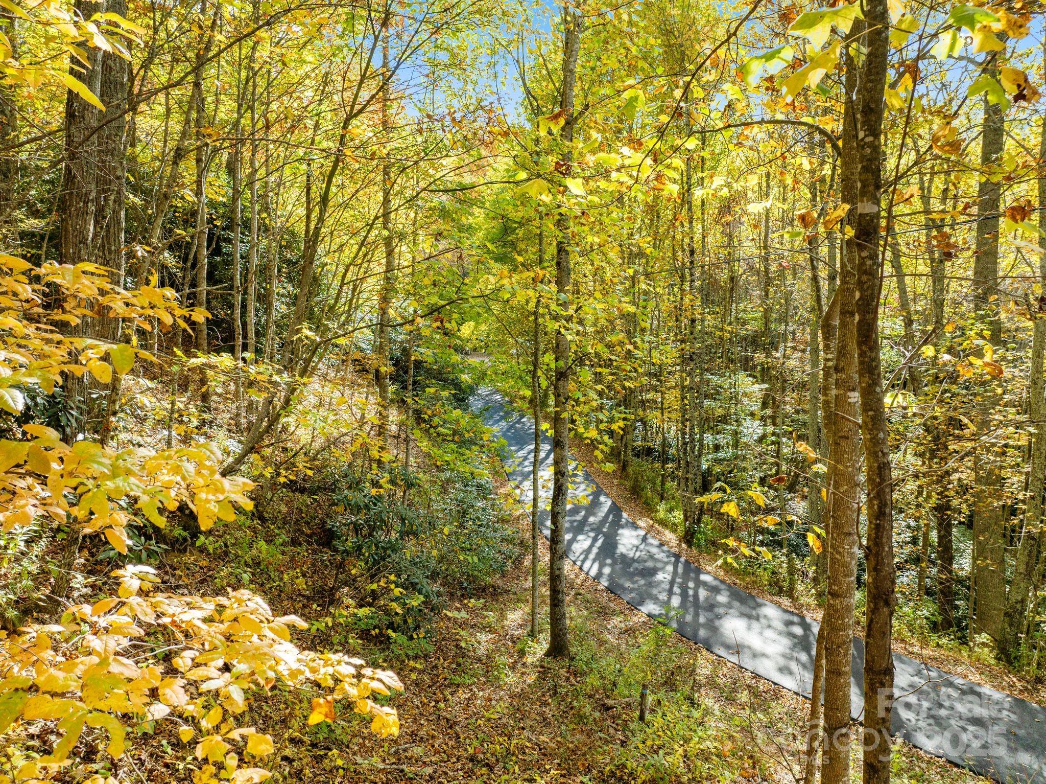 99999 Lytle Cove Road Swannanoa, NC 28778 - Photo 4 of 18 a view of a yard