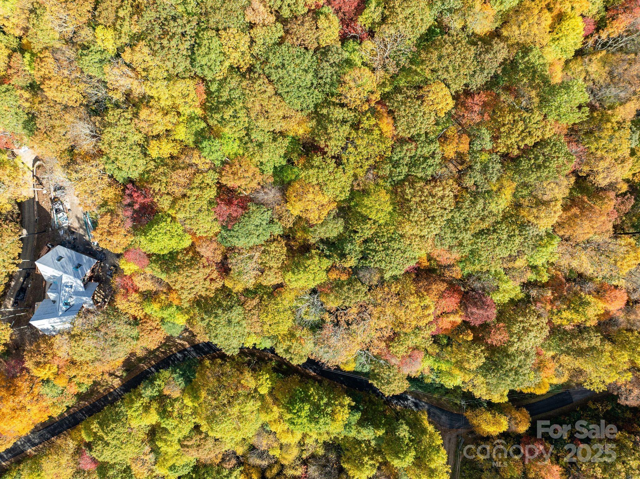 99999 Lytle Cove Road Swannanoa, NC 28778 - Photo 5 of 18 a view of a tree