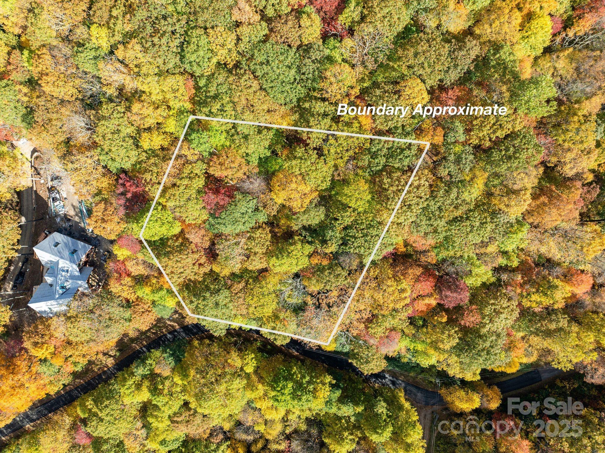 99999 Lytle Cove Road Swannanoa, NC 28778 - Photo 6 of 18 a view of a yard