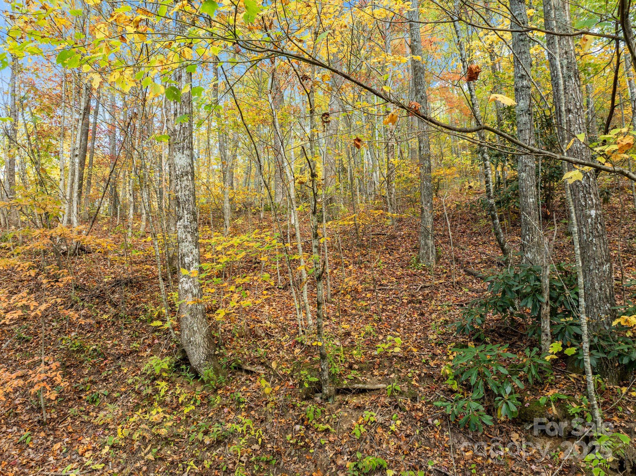 99999 Lytle Cove Road Swannanoa, NC 28778 - Photo 9 of 18 a bathroom with a shower
