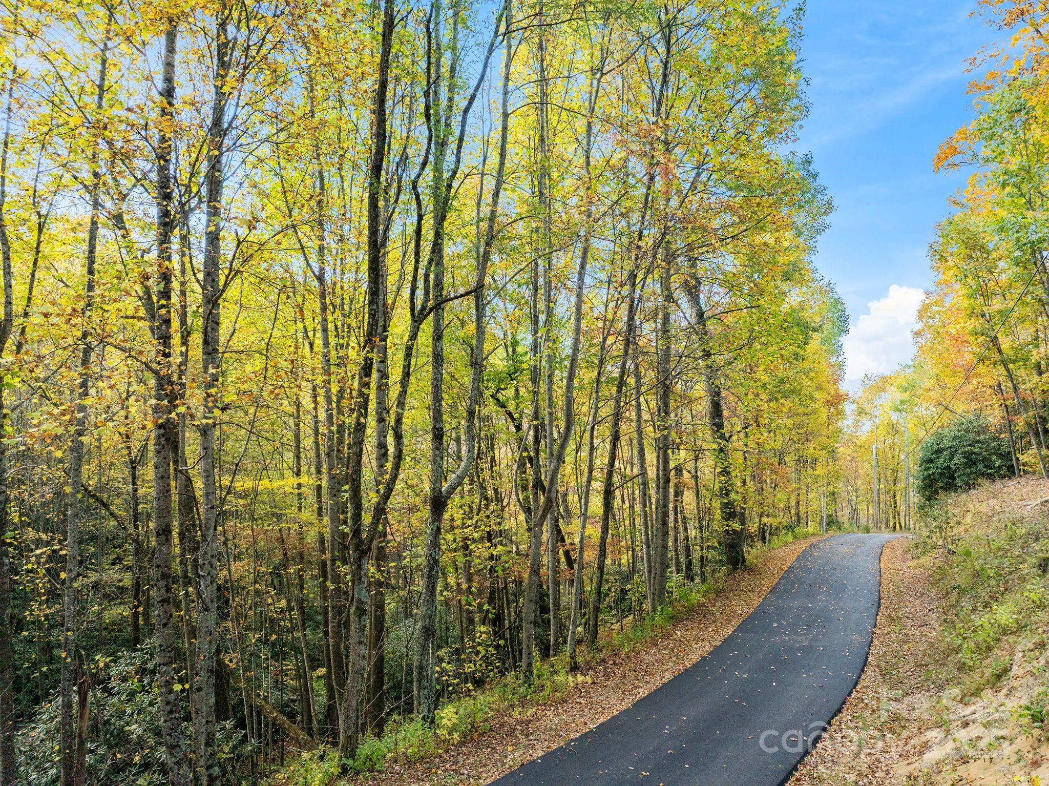 99999 Lytle Cove Road Swannanoa, NC 28778 - Photo 10 of 18 a view of a yard with plants and wooden fence