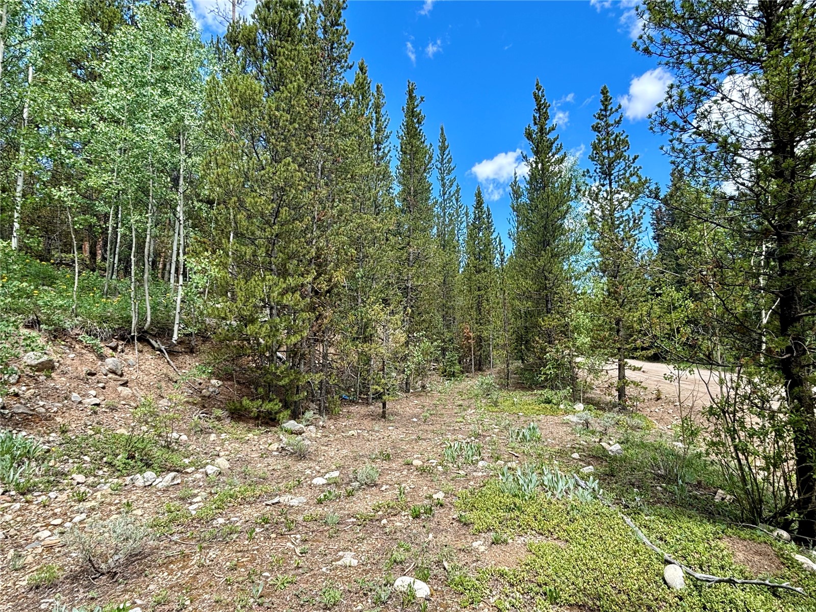 250 Skidoo Road Fairplay, CO 80440 - Photo 15 of 42 Gallery Image 15