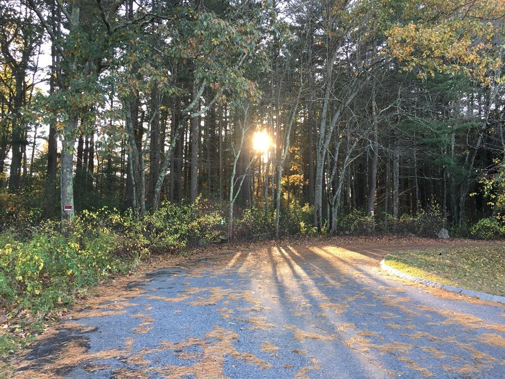 0 Laurel Road Weston, MA 02493 - Photo 1 of 5 Gallery Image 1