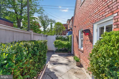 a view of a backyard with plants