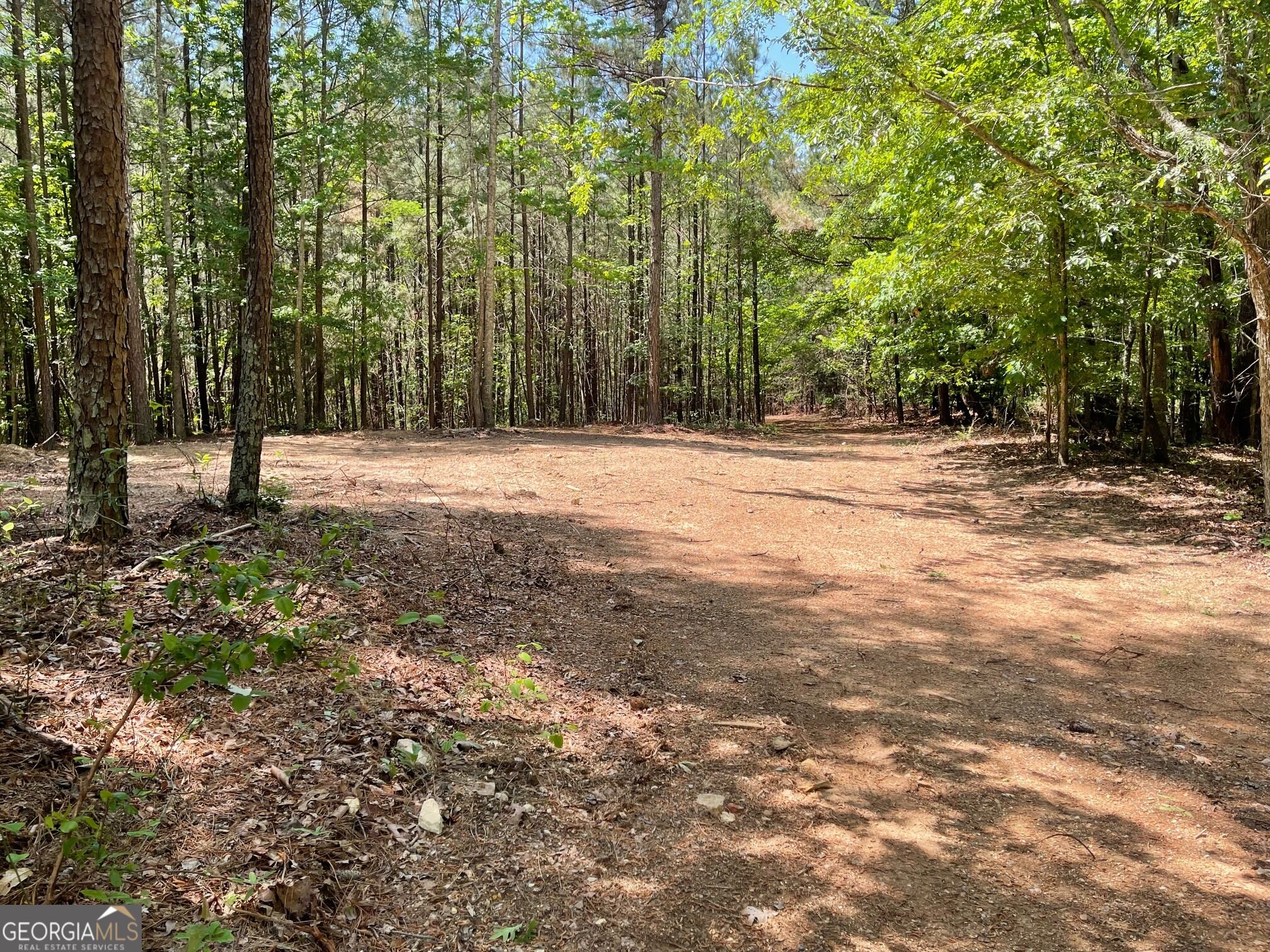 Tract 2 Chalcrest Way Cave Spring, GA 30124 - Photo 2 of 52 Some cleared areas to get you started and parking space - level for a great ranch advantage too.